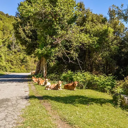 Cozy In Carcheto Brustico 아파트 Stazzona