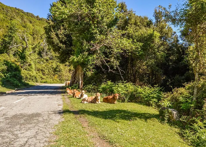 Cozy In Carcheto Brustico Lägenhet Stazzona